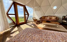 Golden Domes